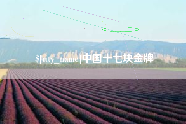 孝义中国十七块金牌