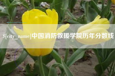 孝义中国消防救援学院历年分数线