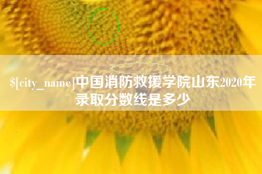孝义中国消防救援学院山东2020年录取分数线是多少