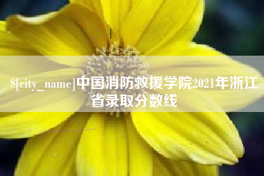 孝义中国消防救援学院2021年浙江省录取分数线