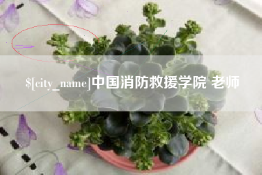 孝义中国消防救援学院 老师
