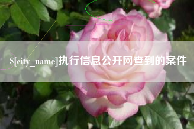 孝义执行信息公开网查到的案件