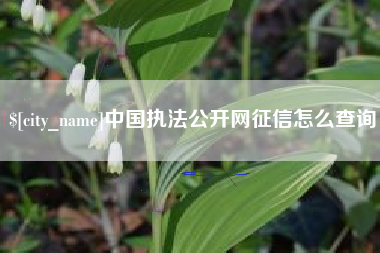 孝义中国执法公开网征信怎么查询
