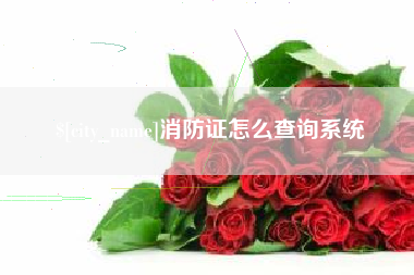 孝义消防证怎么查询系统