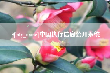 孝义中国执行信息公开系统
