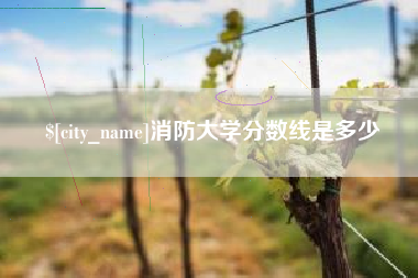 孝义消防大学分数线是多少
