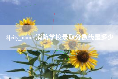 孝义消防学校录取分数线是多少