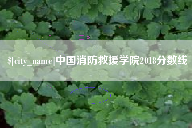 孝义中国消防救援学院2018分数线