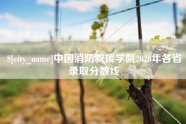 孝义中国消防救援学院2020年各省录取分数线