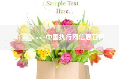 孝义中国执行网信息官网