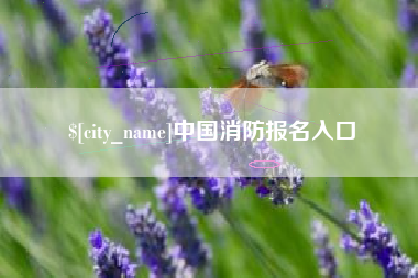 孝义中国消防报名入口