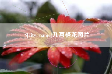 孝义九宫格龙图片