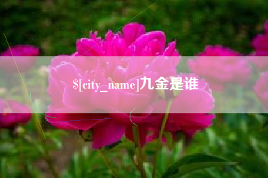 孝义九金是谁