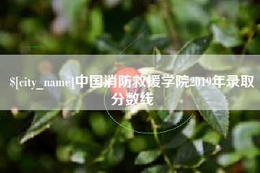 孝义中国消防救援学院2019年录取分数线