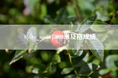孝义5000米及格成绩