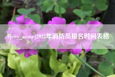 孝义2025年消防员报名时间表格