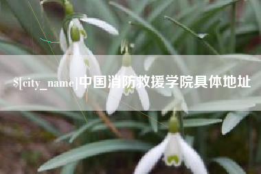 孝义中国消防救援学院具体地址
