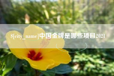 孝义中国金牌是哪些项目2021