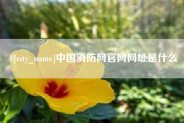 孝义中国消防网官网网址是什么