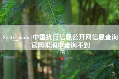 孝义中国执行信息公开网信息查询官网限消中查询不到