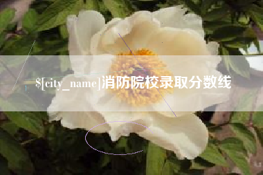 孝义消防院校录取分数线