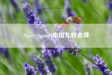 孝义中国九枚金牌