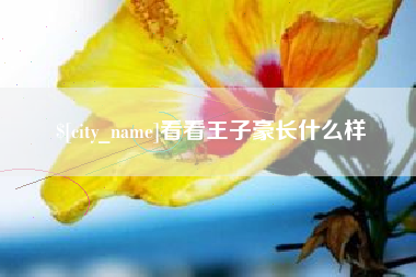 孝义看看王子豪长什么样