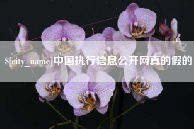 孝义中国执行信息公开网真的假的