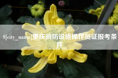 孝义重庆消防设施操作员证报考条件