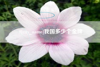 孝义我国多少个金牌