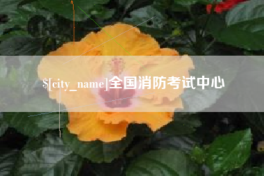 孝义全国消防考试中心
