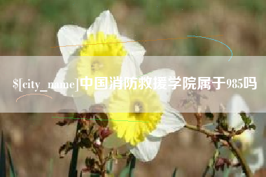 孝义中国消防救援学院属于985吗