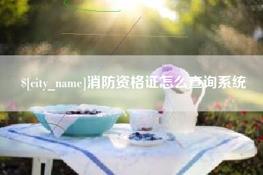 孝义消防资格证怎么查询系统