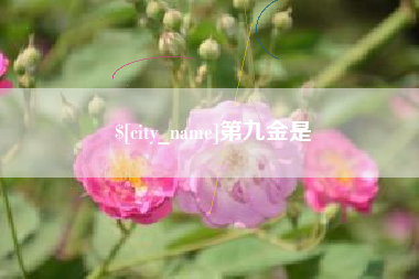 孝义第九金是