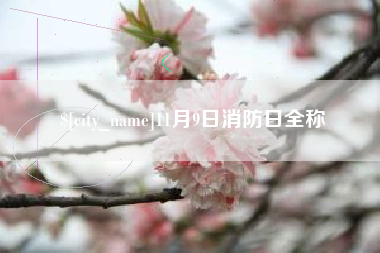孝义11月9日消防日全称