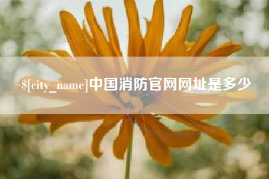 孝义中国消防官网网址是多少