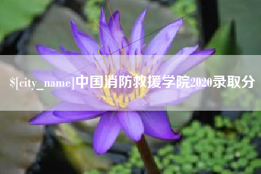 孝义中国消防救援学院2020录取分