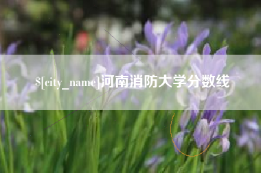 孝义河南消防大学分数线