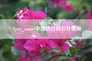 孝义中国执行网公开查询