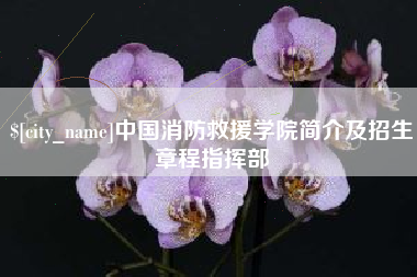 孝义中国消防救援学院简介及招生章程指挥部