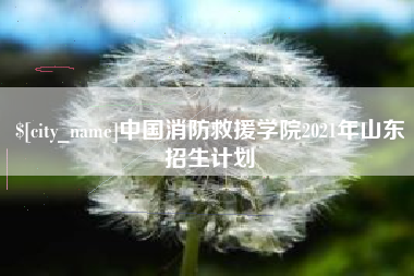 孝义中国消防救援学院2021年山东招生计划