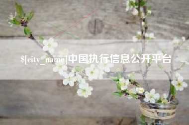 孝义中国执行信息公开平台