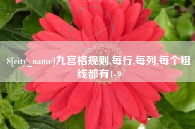 孝义九宫格规则,每行,每列,每个粗线都有1-9