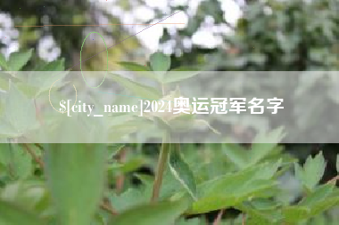 孝义2024奥运冠军名字
