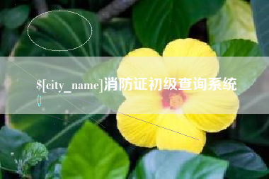 孝义消防证初级查询系统
