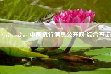 孝义中国执行信息公开网 综合查询