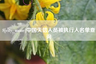 孝义中国失信人员被执行人名单查询