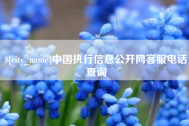 孝义中国执行信息公开网客服电话查询