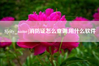 孝义消防证怎么查询,用什么软件