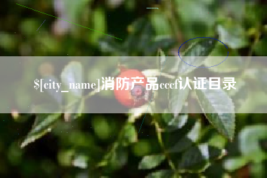 孝义消防产品cccf认证目录